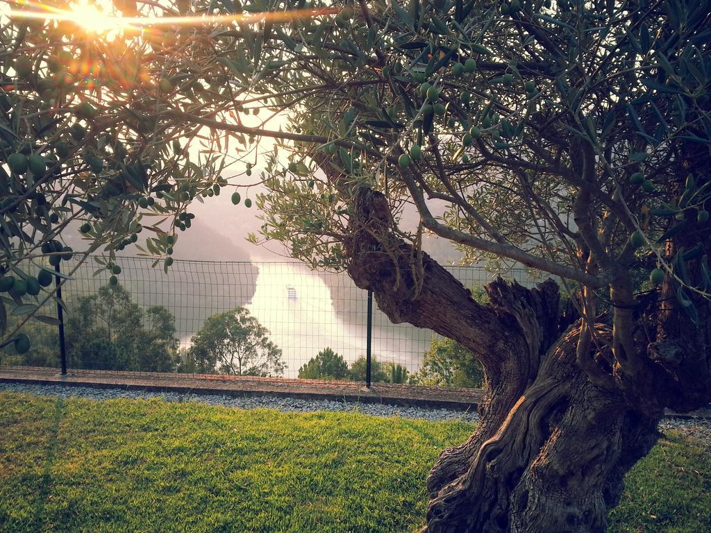Quinta Das Tilias Douro Valley Cabaca ภายนอก รูปภาพ