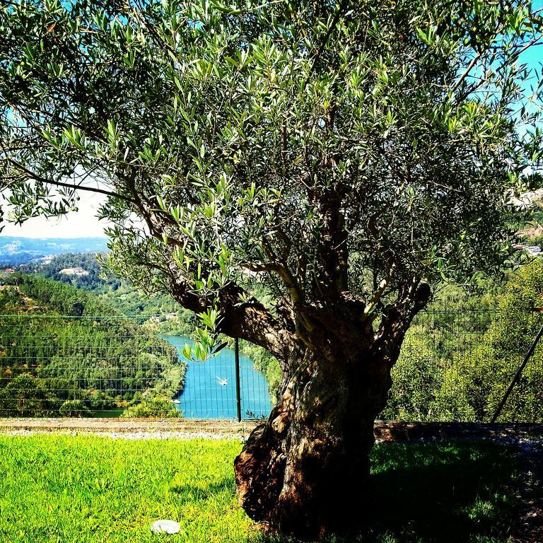 Quinta Das Tilias Douro Valley Cabaca ภายนอก รูปภาพ
